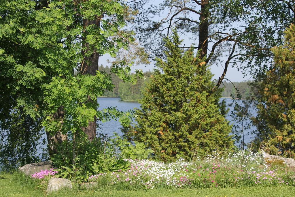 Гостевой дом Виолетта Каухава Номер фото